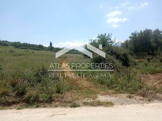Οικόπεδο 13.000 τ.μ. για πώληση, Ν. Χανίων, Φρέ-thumb-11