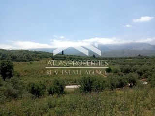 Οικόπεδο 13.000 τ.μ. για πώληση, Ν. Χανίων, Φρέ-thumb-10