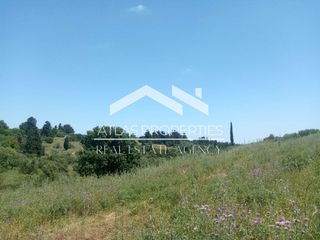 Οικόπεδο 13.000 τ.μ. για πώληση, Ν. Χανίων, Φρέ-thumb-9