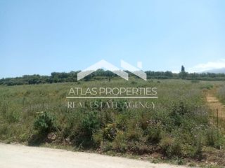 Οικόπεδο 13.000 τ.μ. για πώληση, Ν. Χανίων, Φρέ-thumb-7