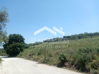 Οικόπεδο 13.000 τ.μ. για πώληση, Ν. Χανίων, Φρέ-thumb-1