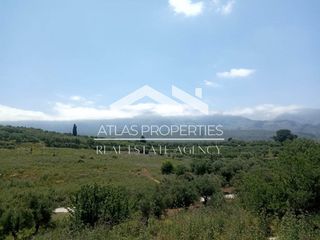 Οικόπεδο 13.000 τ.μ. για πώληση, Ν. Χανίων, Φρέ-thumb-3