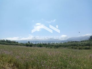 Οικόπεδο 13.000 τ.μ. για πώληση, Ν. Χανίων, Φρέ-thumb-8