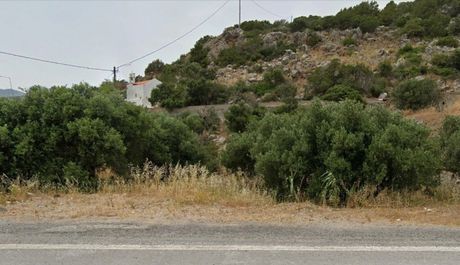 Οικόπεδο 4.795 τ.μ. για πώληση