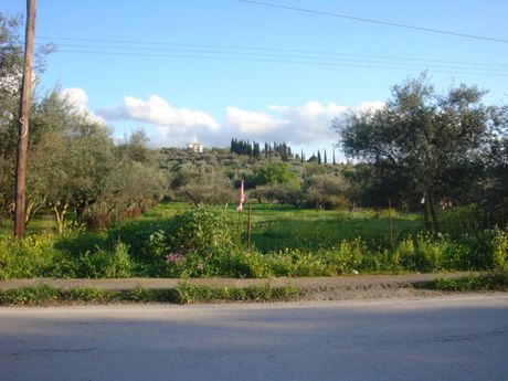 Αγροτεμάχια 13.865τ.μ. για πώληση-Αυλώνα