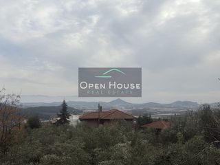 Οικόπεδο 690 τ.μ. για πώληση, Ν. Καβάλας, Ελευθερές-thumb-2