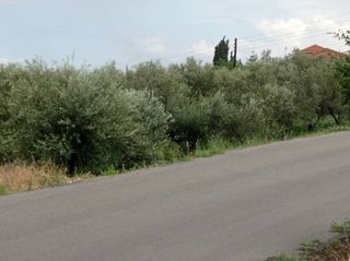 Οικόπεδο 3.600 τ.μ. για πώληση
