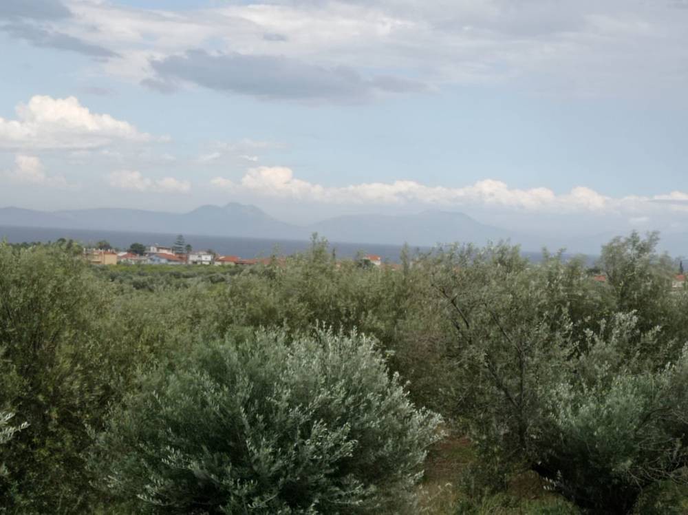 Οικόπεδο 3.600 τ.μ. πρός πώληση, Κορινθία, Ξυλόκαστρο