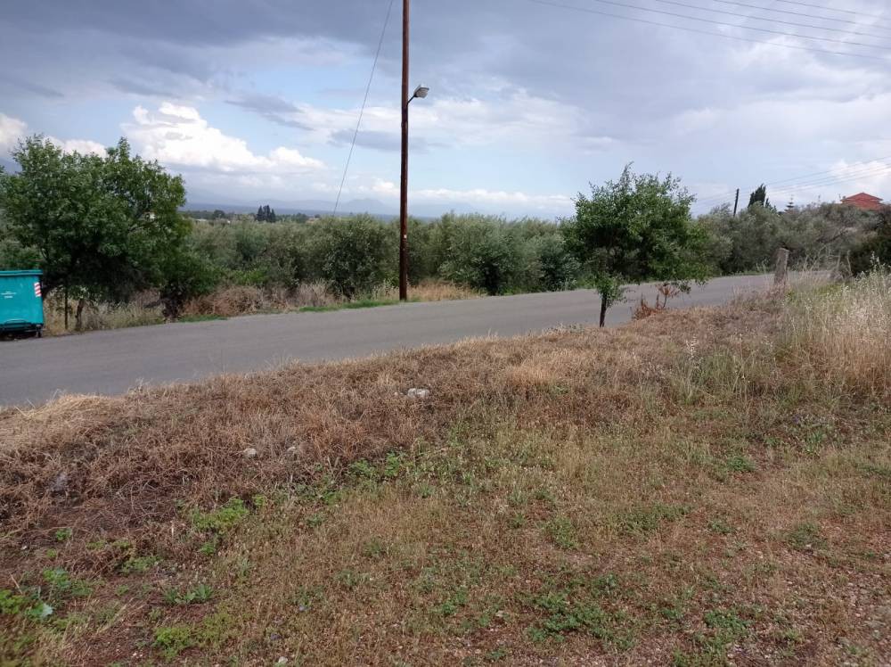 Οικόπεδο 3.600 τ.μ. πρός πώληση, Κορινθία, Ξυλόκαστρο