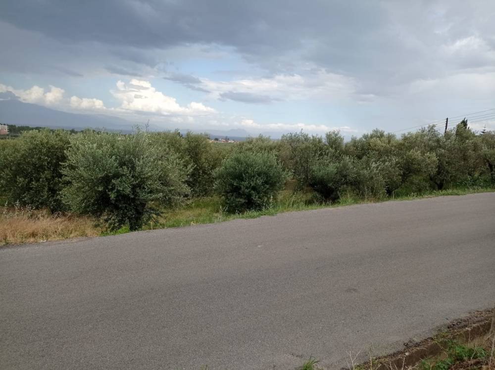 Οικόπεδο 3.600 τ.μ. πρός πώληση, Κορινθία, Ξυλόκαστρο