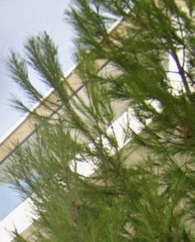 Detached home 250sqm for sale-Glyfada » Aixoni