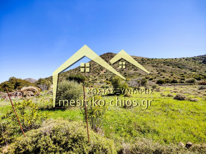 Αγροτεμάχια 3.120,20 τ.μ. προς πώληση, Μαστιχοχώρια