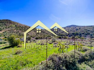 Αγροτεμάχια 3.120,20 τ.μ. για πώληση