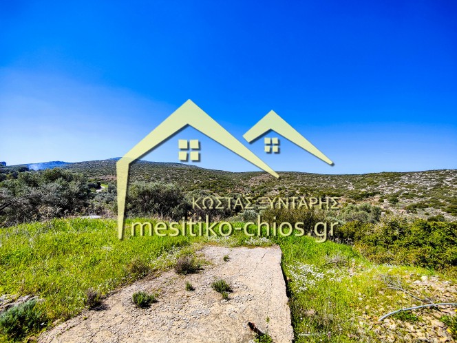 Αγροτεμάχια 3.120,20 τ.μ. προς πώληση, Μαστιχοχώρια