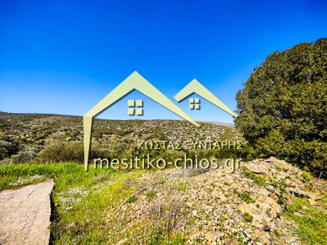 Αγροτεμάχια 3.120,20 τ.μ. προς πώληση, Μαστιχοχώρια