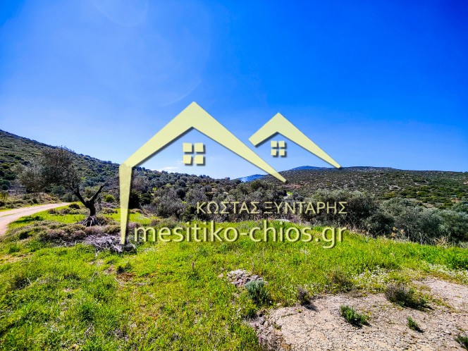 Αγροτεμάχια 3.120,20 τ.μ. προς πώληση, Μαστιχοχώρια