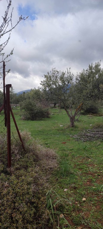 Αγροτεμάχια 4.467 τ.μ. προς πώληση, Κέντρο Βιλίων