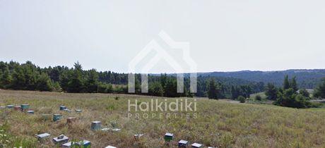 Αγροτεμάχια 12.412τ.μ. για πώληση-Κασσάνδρα » Κασσανδρηνό