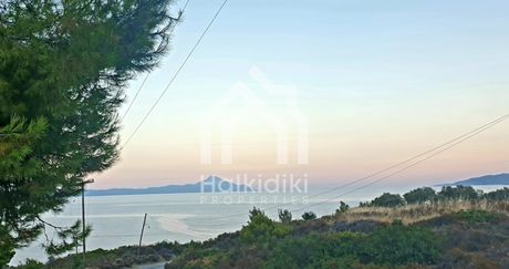 Αγροτεμάχια 9.400τ.μ. για πώληση-Σιθωνία » Παρθενώνας