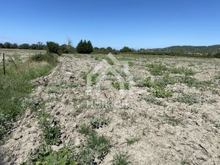 Αγροτεμάχια 4.770 τ.μ. πρός πώληση