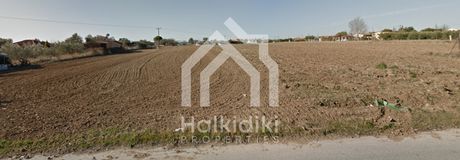 Αγροτεμάχια 10.000τ.μ. για πώληση-Τριγλία » Νέα τρίγλια