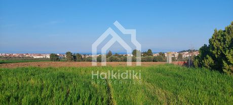 Αγροτεμάχια 4.000τ.μ. για πώληση-Κασσάνδρα » Κασσανδρηνό