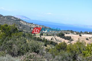 Αγροτεμάχια 21.000 τ.μ. για πώληση, Αργολίδα, Κρανίδι-thumb-12
