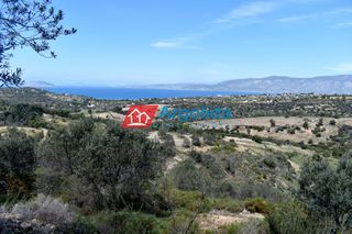 Αγροτεμάχια 21.000 τ.μ. για πώληση, Αργολίδα, Κρανίδι-thumb-4