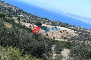 Αγροτεμάχια 21.000 τ.μ. για πώληση, Αργολίδα, Κρανίδι-thumb-13