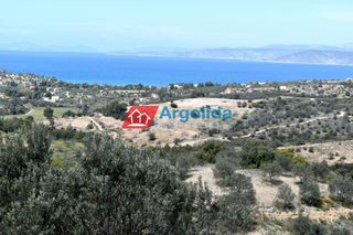 Αγροτεμάχια 21.000 τ.μ. για πώληση
