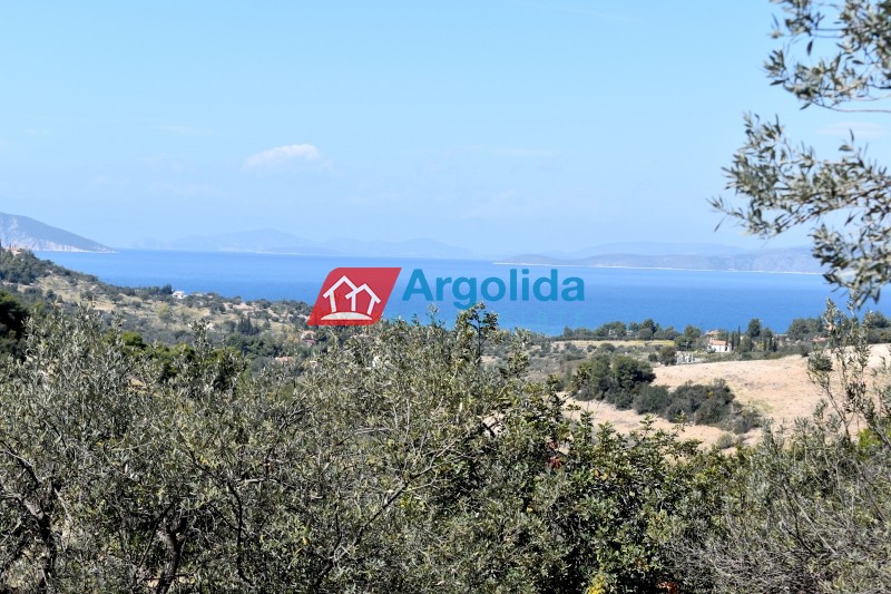 Αγροτεμάχια 21.000 τ.μ. προς πώληση, Δορούφι