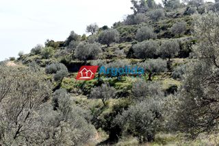 Αγροτεμάχια 21.000 τ.μ. για πώληση, Αργολίδα, Κρανίδι-thumb-8