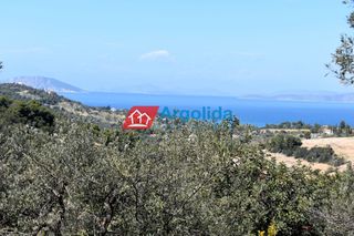 Αγροτεμάχια 21.000 τ.μ. για πώληση, Αργολίδα, Κρανίδι-thumb-3