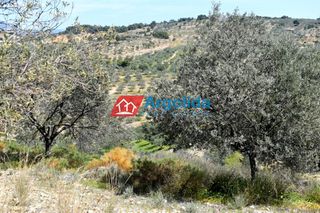 Αγροτεμάχια 21.000 τ.μ. για πώληση, Αργολίδα, Κρανίδι-thumb-10