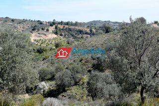 Αγροτεμάχια 21.000 τ.μ. για πώληση, Αργολίδα, Κρανίδι-thumb-9