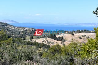 Αγροτεμάχια 21.000 τ.μ. για πώληση, Αργολίδα, Κρανίδι-thumb-11