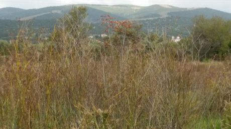 Parcel 4.500sqm for sale-Alexandroupoli » Dikella