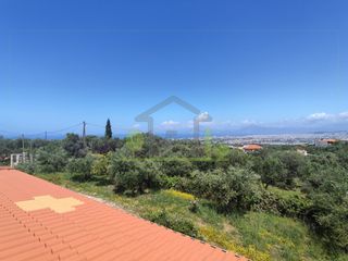 Μονοκατοικία 330 τ.μ. για πώληση, Αχαΐα, Μεσσατίδα-thumb-21