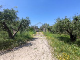 Μονοκατοικία 330 τ.μ. για πώληση, Αχαΐα, Μεσσατίδα-thumb-24