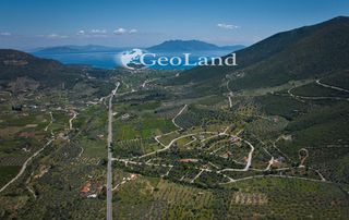 Αγροτεμάχια 1.263 τ.μ. για πώληση