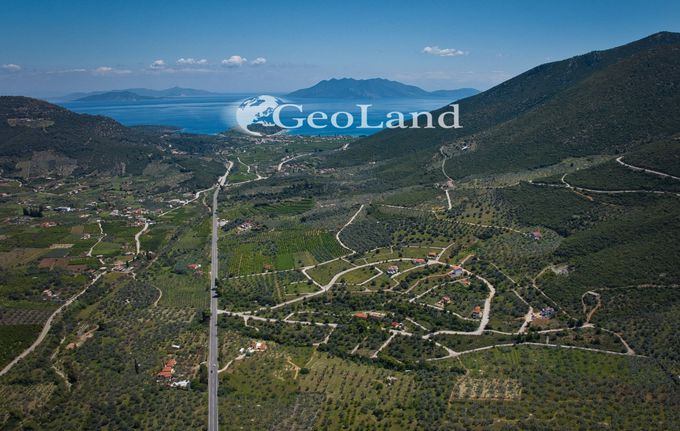 Αγροτεμάχια 1.263 τ.μ. για πώληση, Αργολίδα, Επίδαυρος