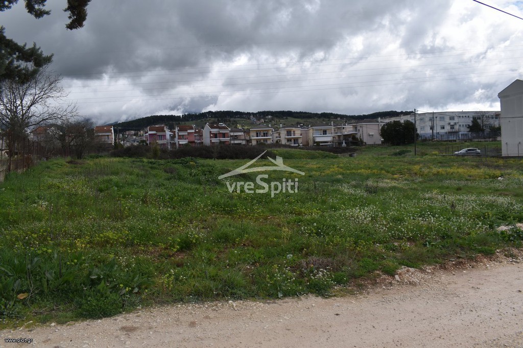 Οικόπεδο 726,70 τ.μ. προς πώληση, Καρδαμίτσια