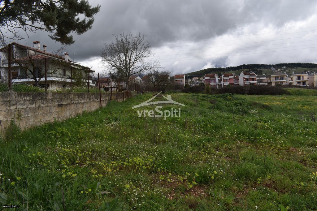 Οικόπεδο 726,70 τ.μ. προς πώληση, Καρδαμίτσια
