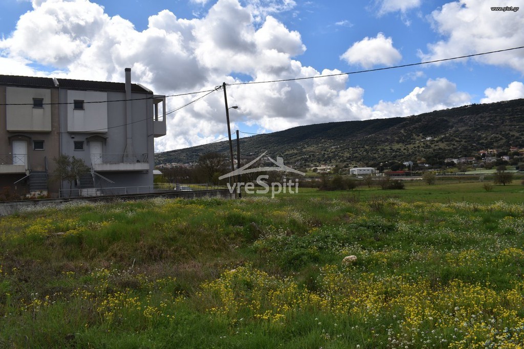 Οικόπεδο 726,70 τ.μ. προς πώληση, Καρδαμίτσια