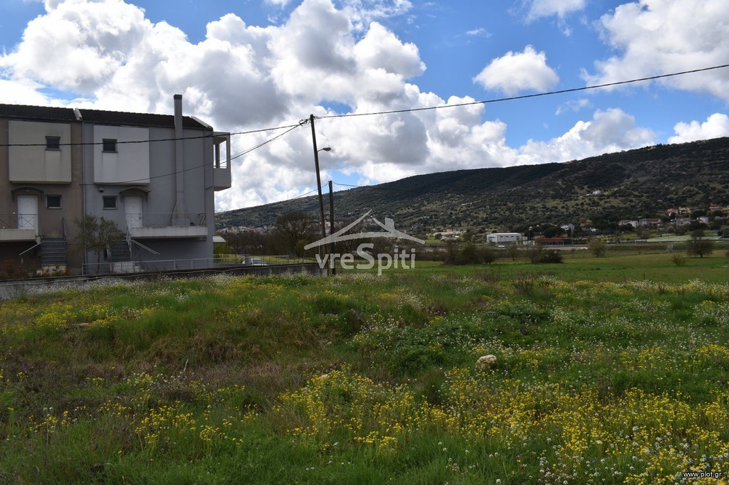 Οικόπεδο 720 τ.μ. προς πώληση, Καρδαμίτσια