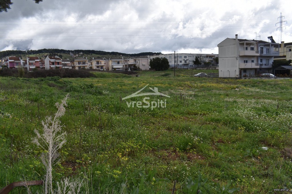 Οικόπεδο 600 τ.μ. προς πώληση, Καρδαμίτσια
