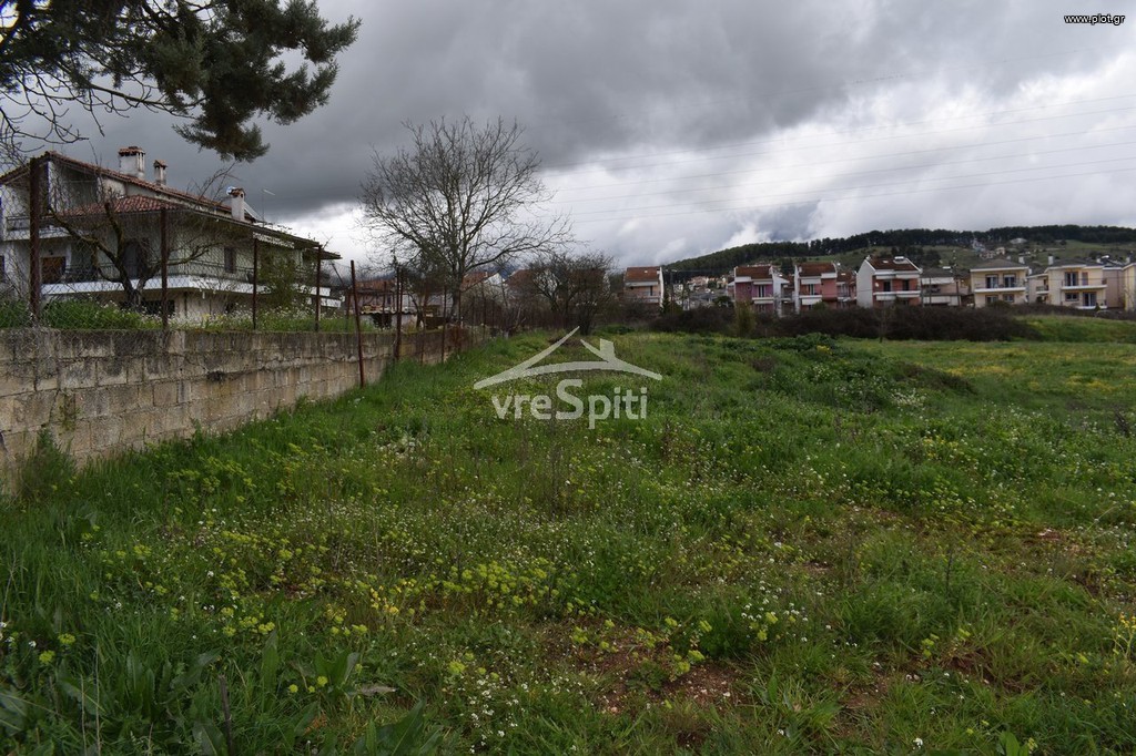 Οικόπεδο 600 τ.μ. προς πώληση, Καρδαμίτσια
