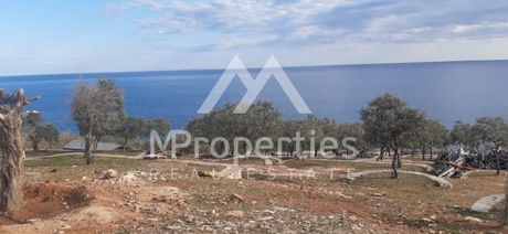 Αγροτεμάχια 19.973 τ.μ. για πώληση