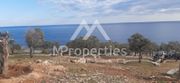 Parcel 19.973sqm for sale-Thasos » Aliki