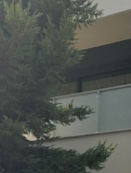 Μονοκατοικία 220τ.μ. για πώληση-Βούλα » Καλυμνιώτικα